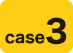 case3