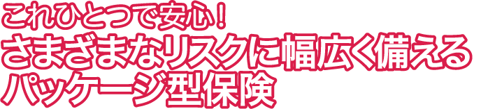 これひとつで安心! さまざまなリスクに幅広く備えるパッケージ型保険