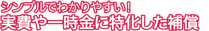 シンプルでわかりやすい! 実費や一時金に特化した補償