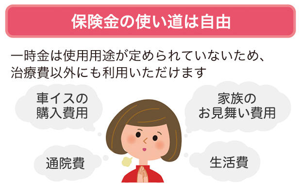 保険金の使い道は自由 一時金は使用用途が定められていないため、治療費以外にも利用いただけます
